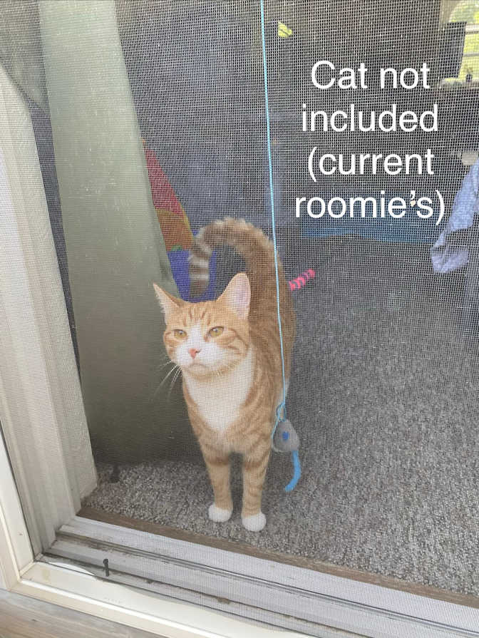 Leo's room