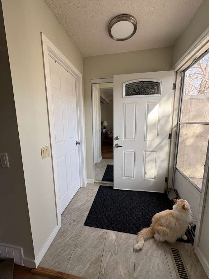 Sami Virji's room