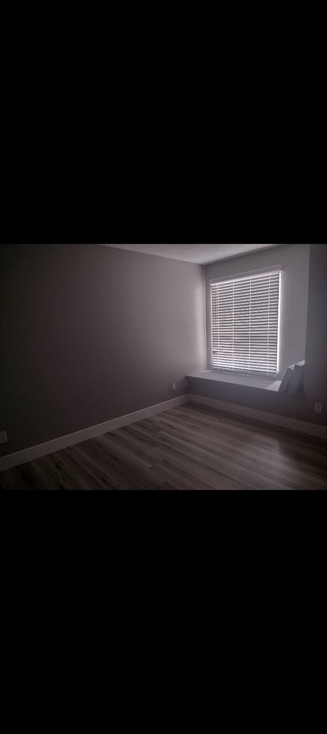 Andrea's room