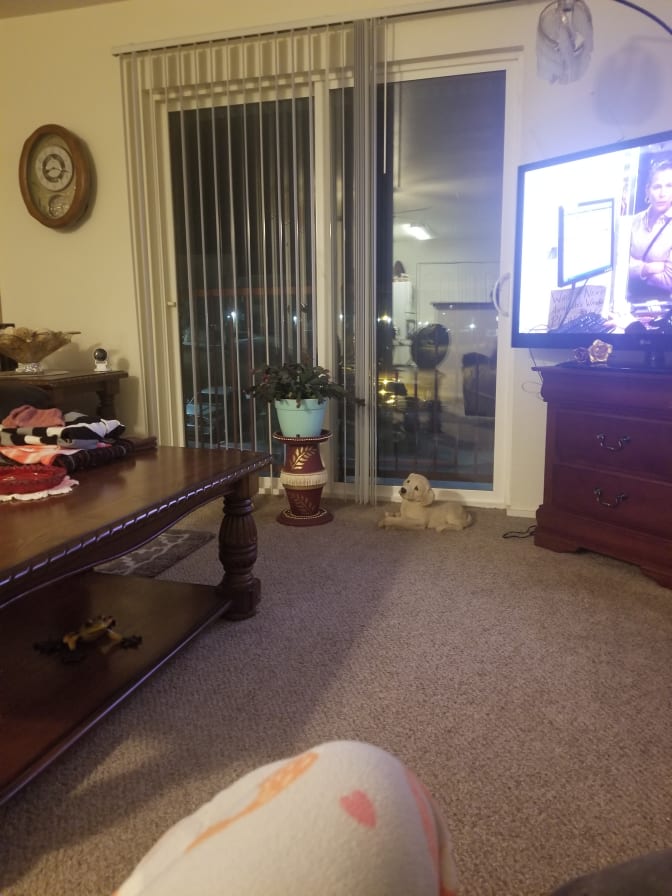 Linda's room