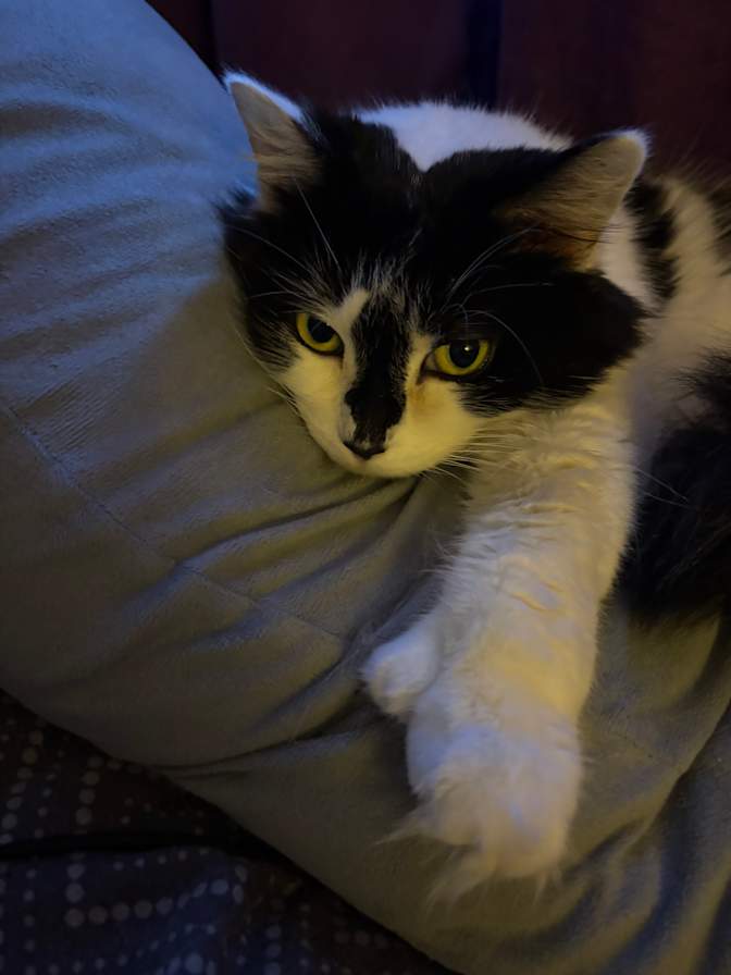 Samantha Keeping's room