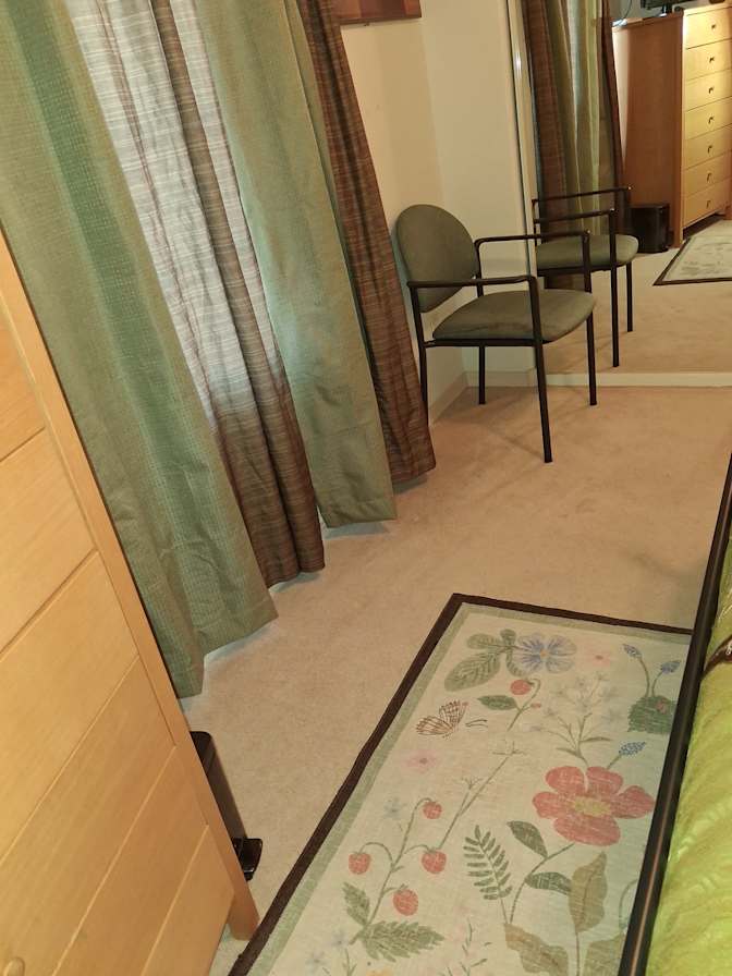 Butterfli Thomas's room