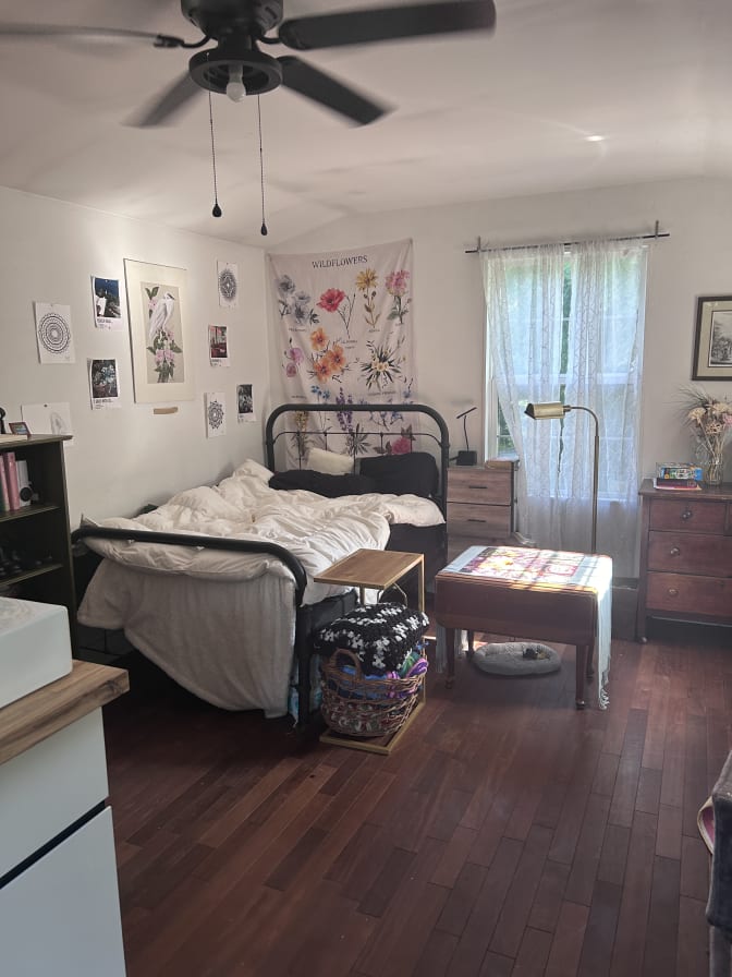 Amy's room