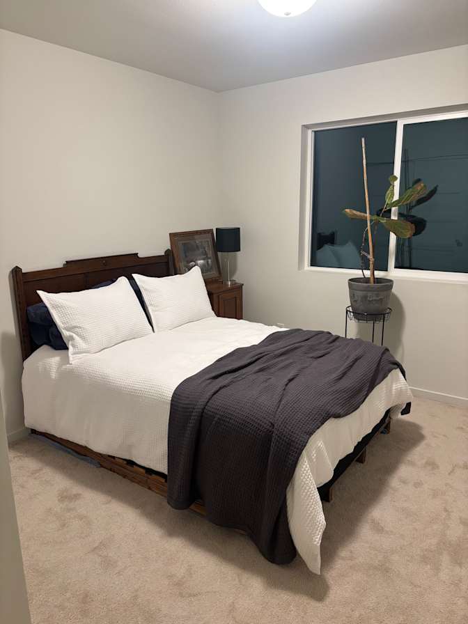 Ann's room