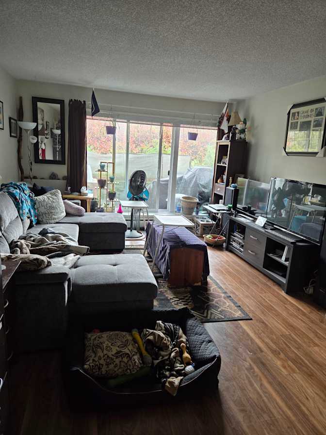 Jenna's room