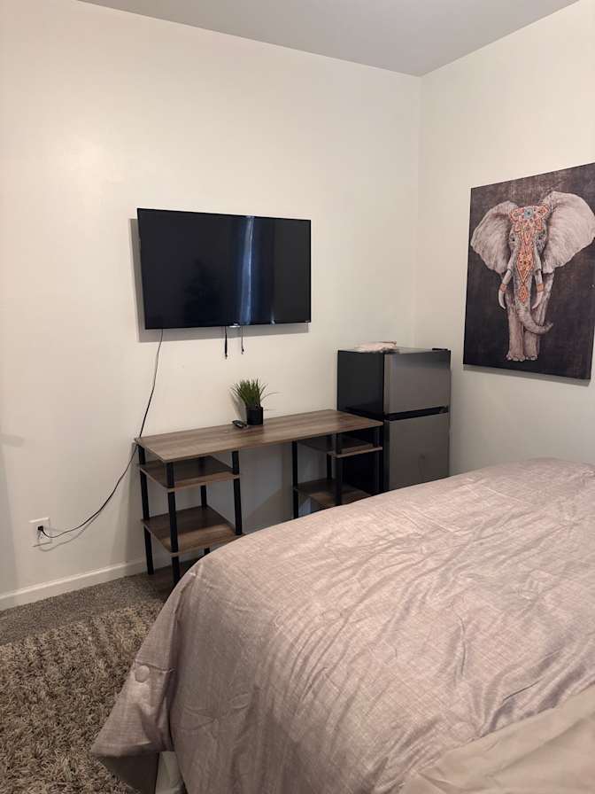 Sasha's room