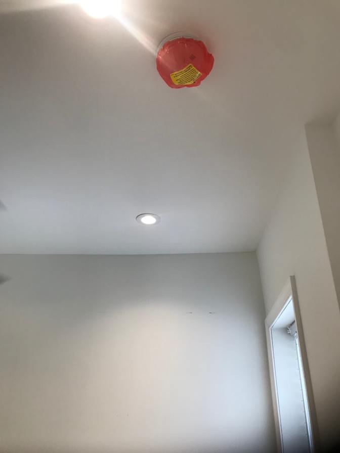 max's room