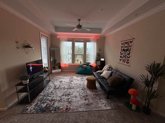 Nina's room