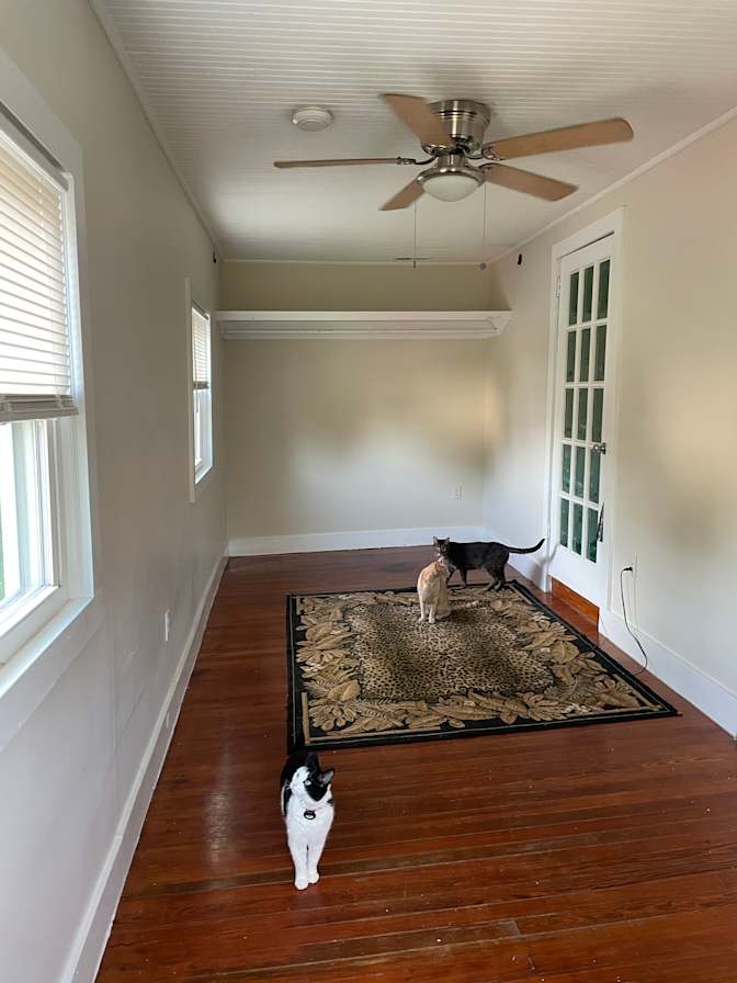 Minxy's room