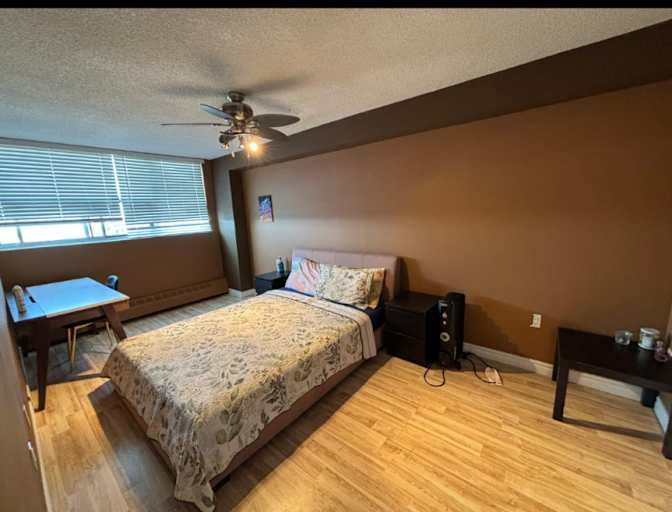 Zein's room