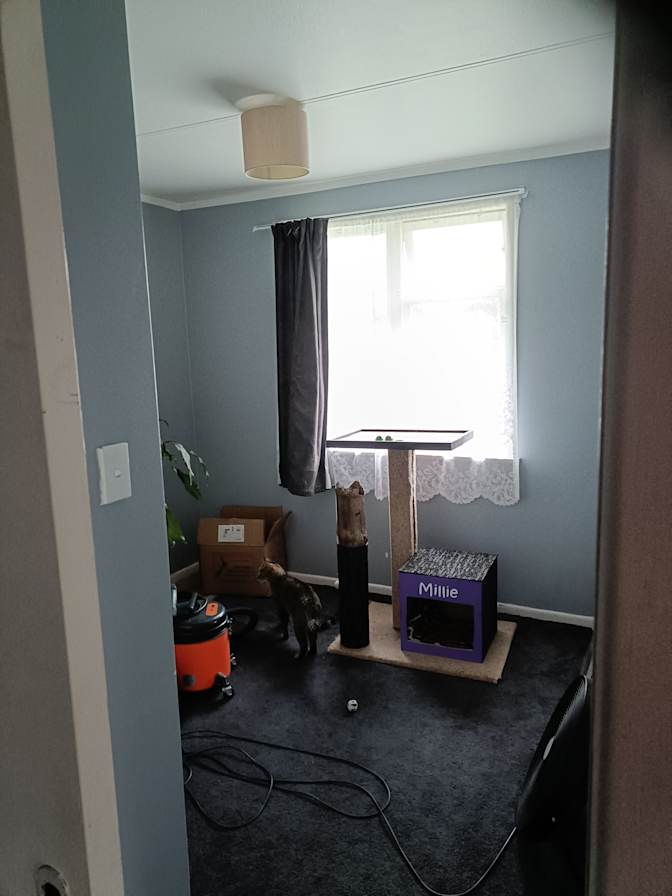 Gabriel's room