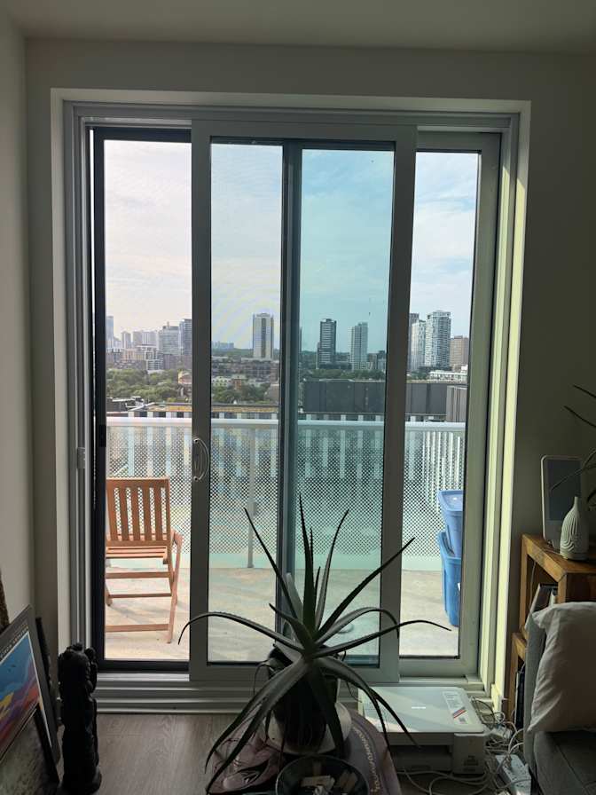 Daniel's room