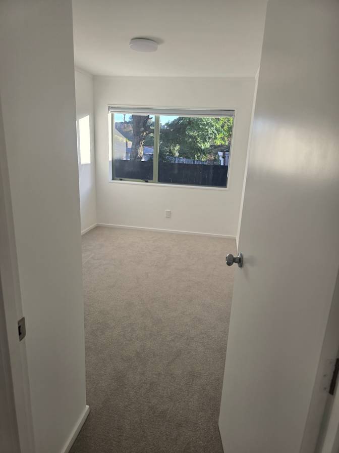 Shane's room