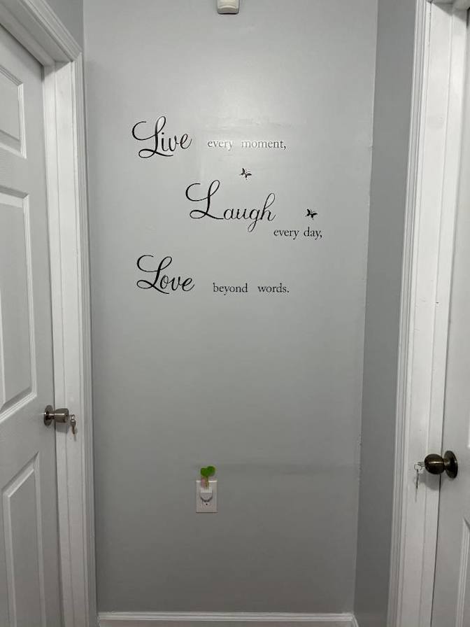 A S LaneZ Properties LLC's room