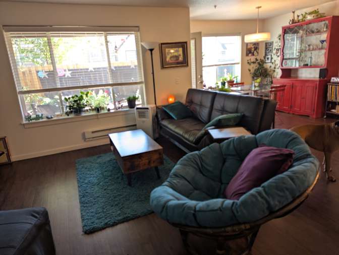 Laura Coyle's room