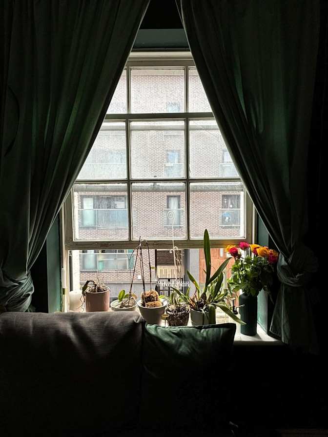 Alessandra Luppino's room