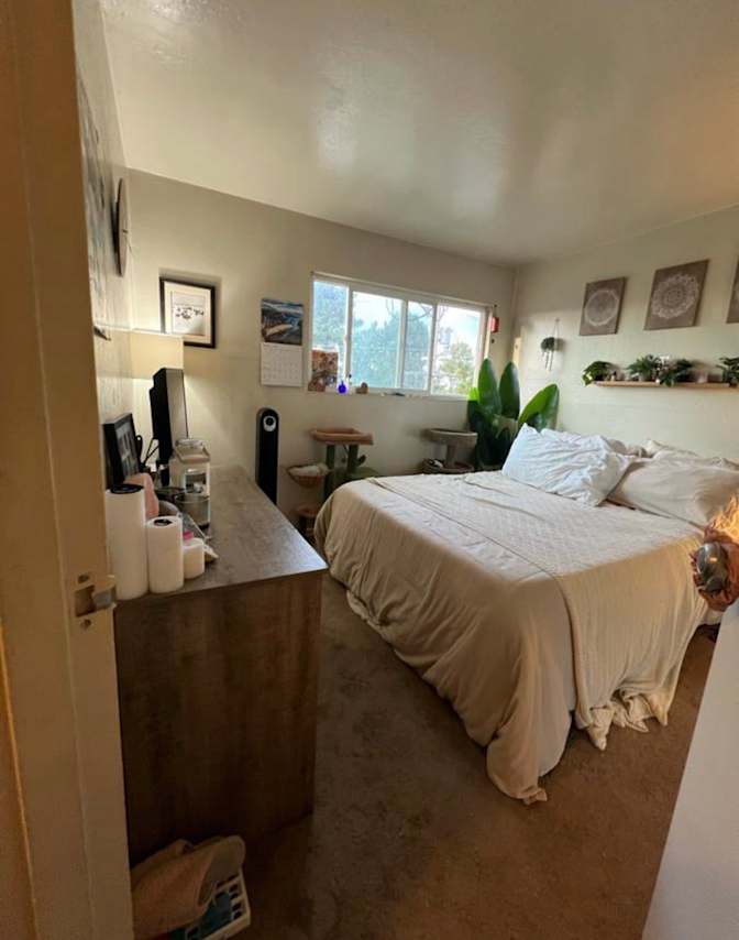 Natasha's room