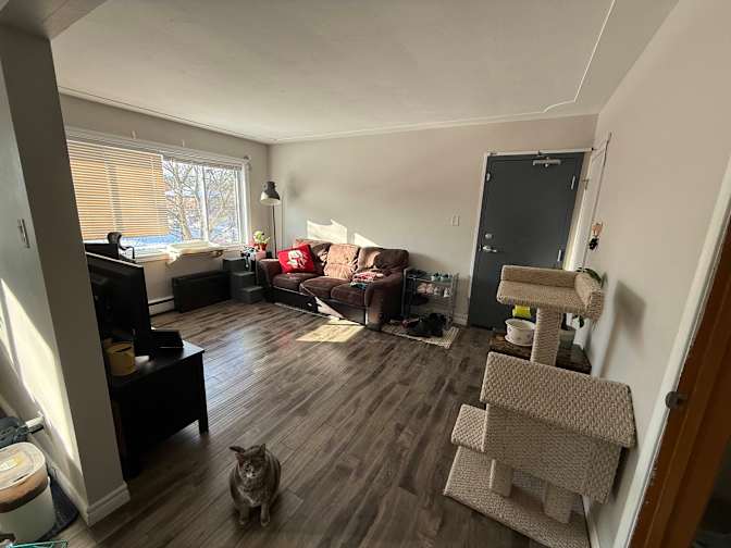Julian's room