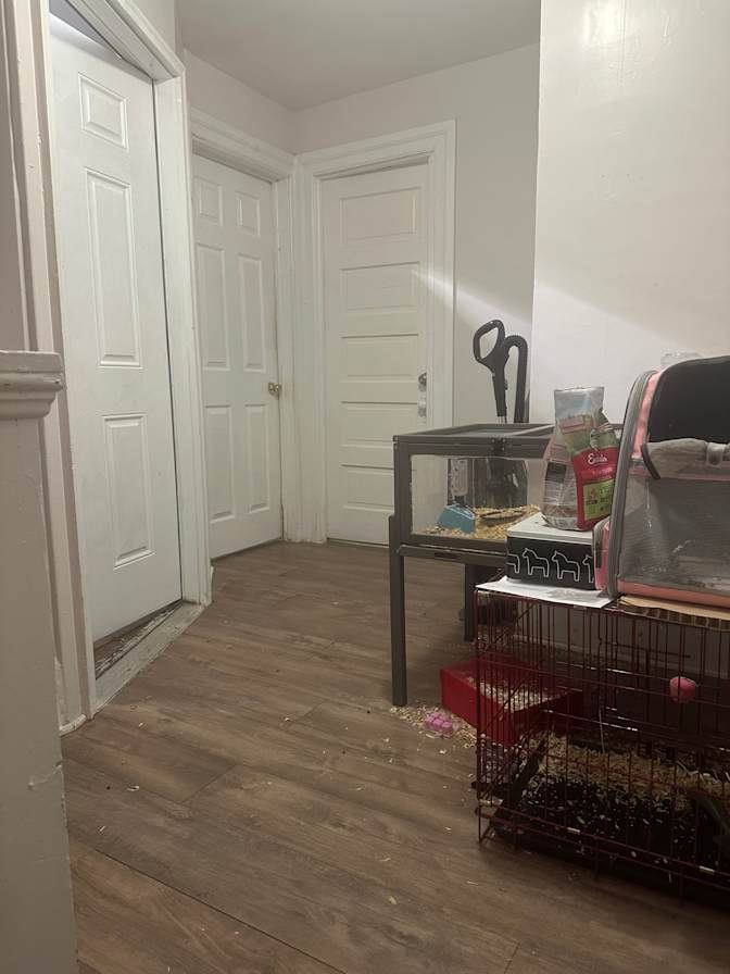 Jasper's room