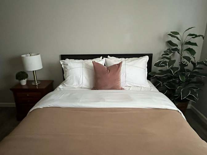 Mary's room