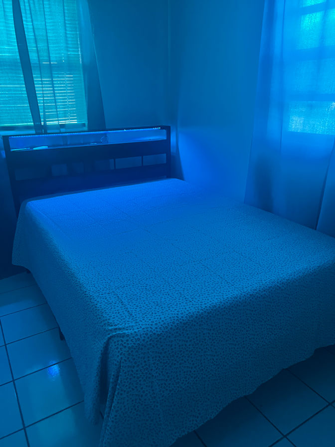 adonys's room