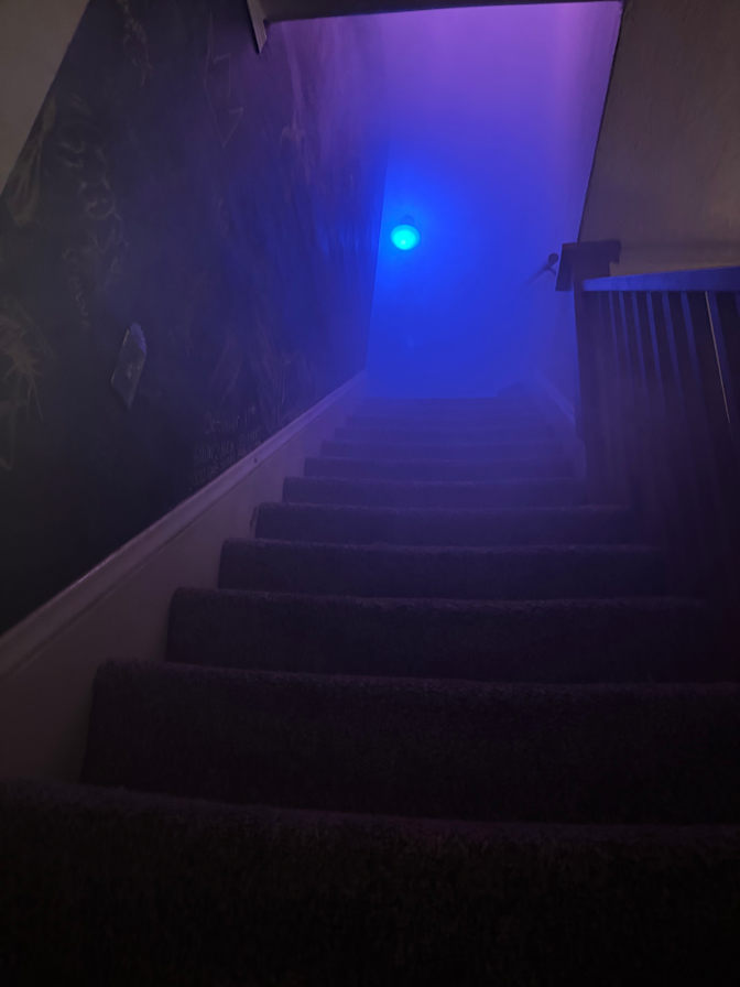 CJ's room