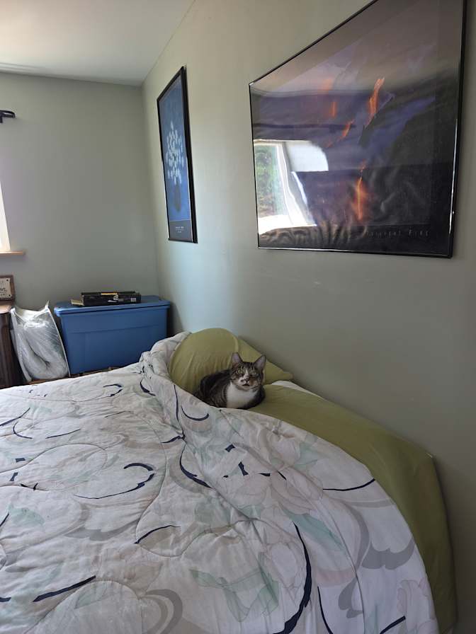 Jan's room