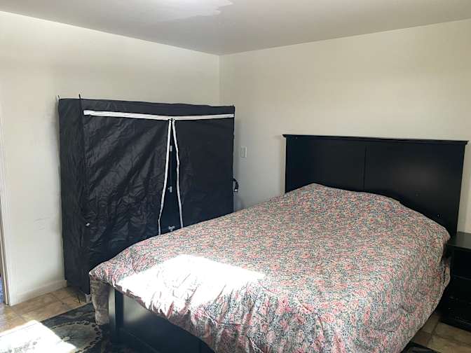 Ihab's room