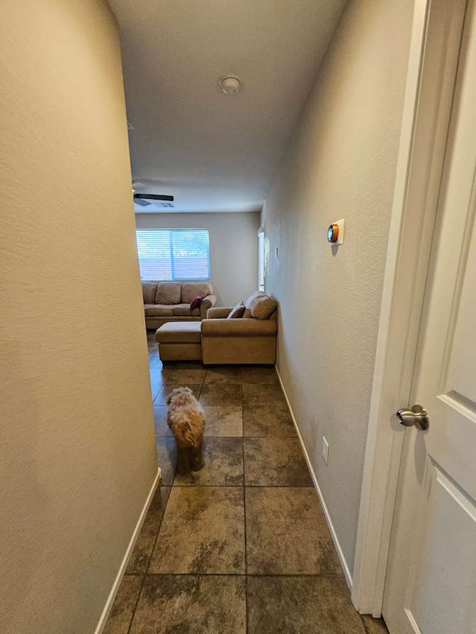 Terry's room