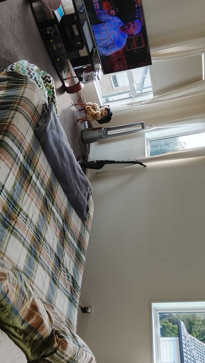 Tania's room