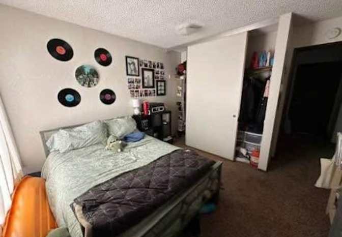 Lily's room
