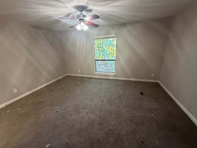 Alcove Rooms's room