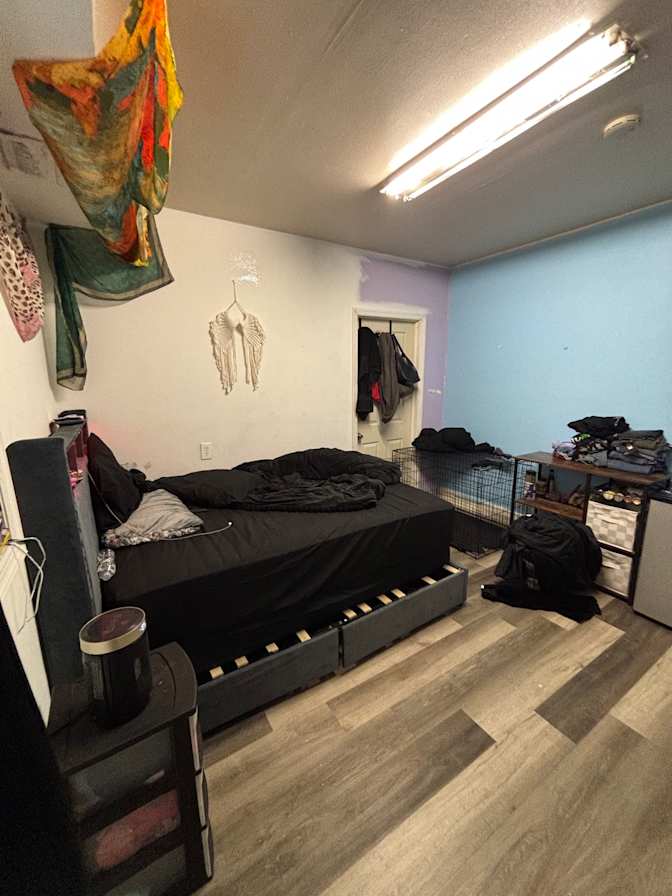anestasia's room