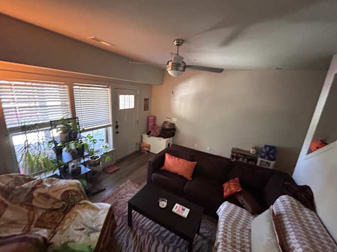 Ifeoma Ugeh's room