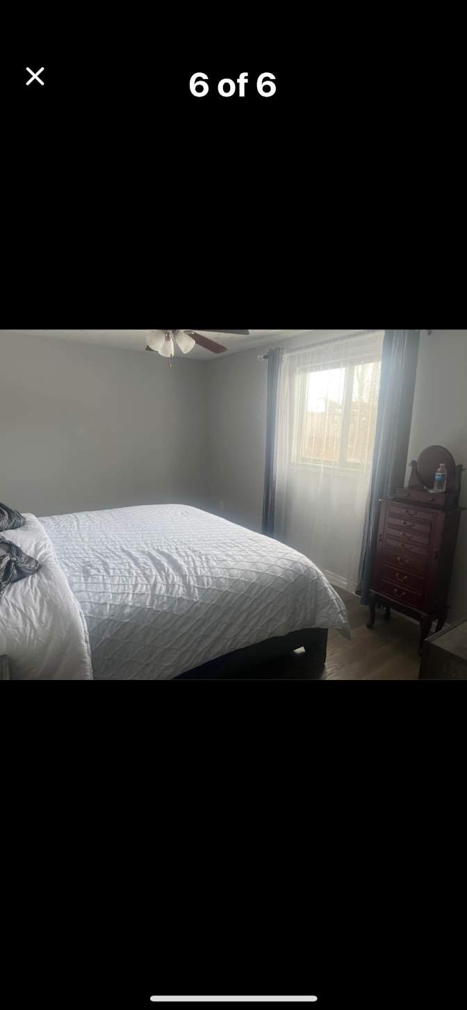 Marisela loncaric's room