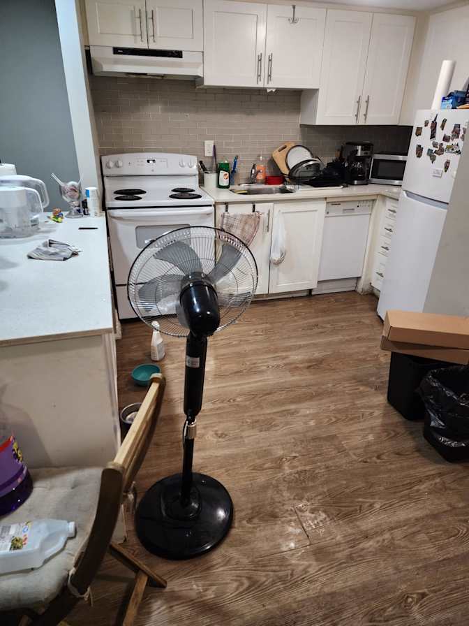 David's room