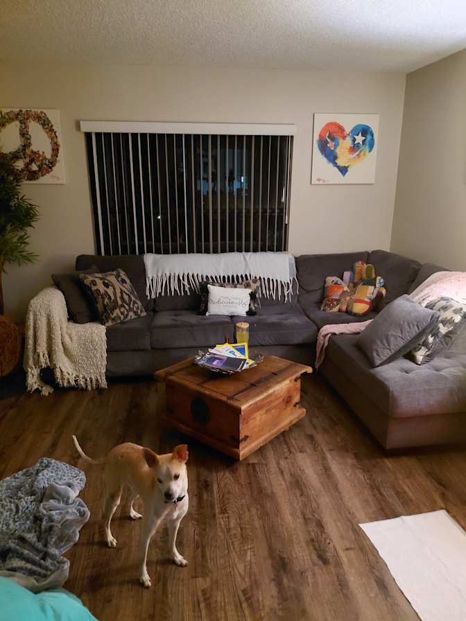 Lacey's room