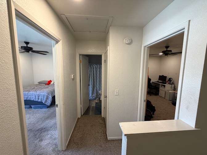 Athena's room
