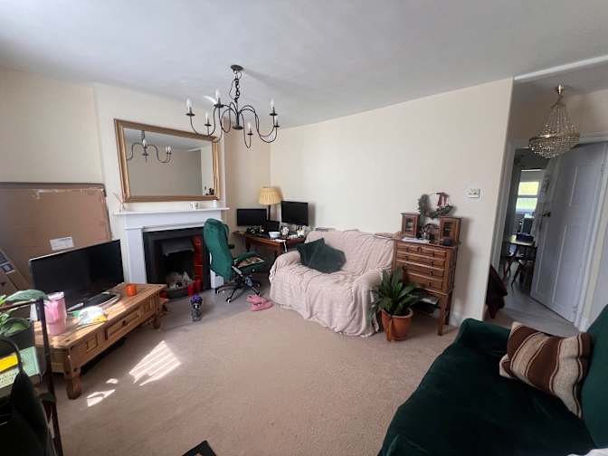 Shannon Wheeler's room