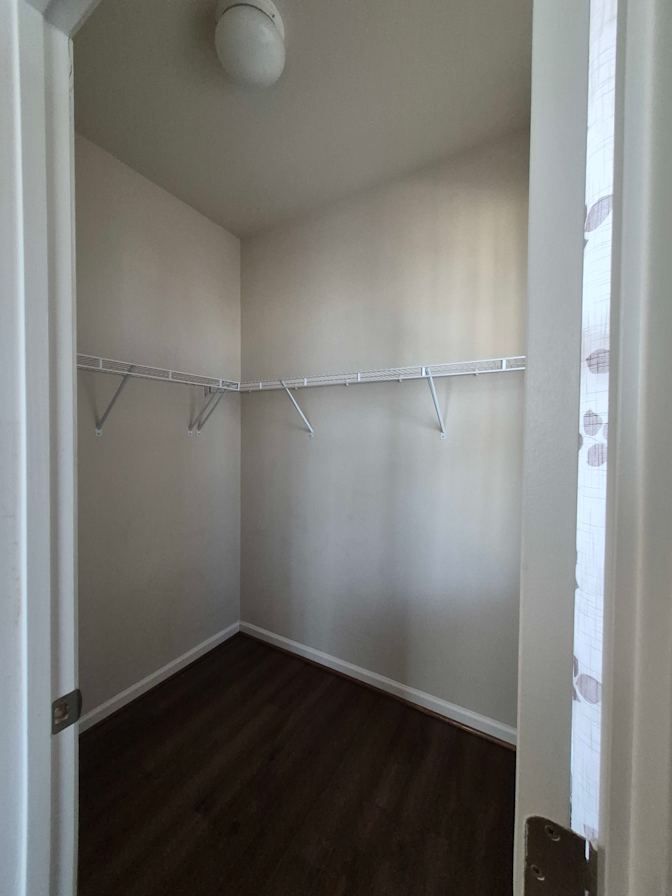 Pauline's room