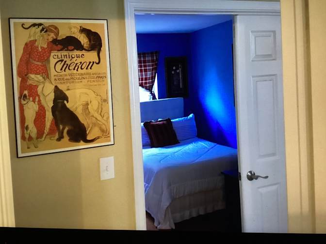 Rosa's room