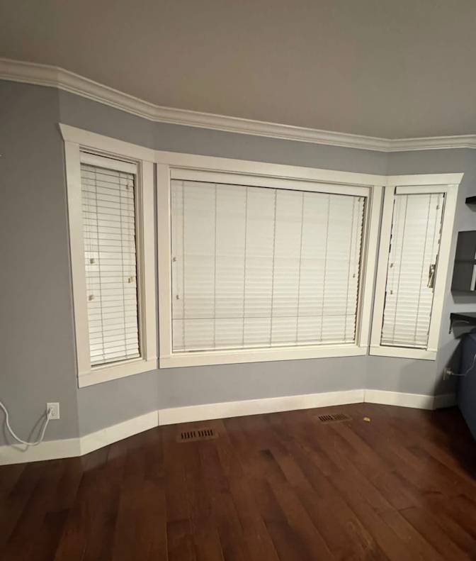 Shay's room