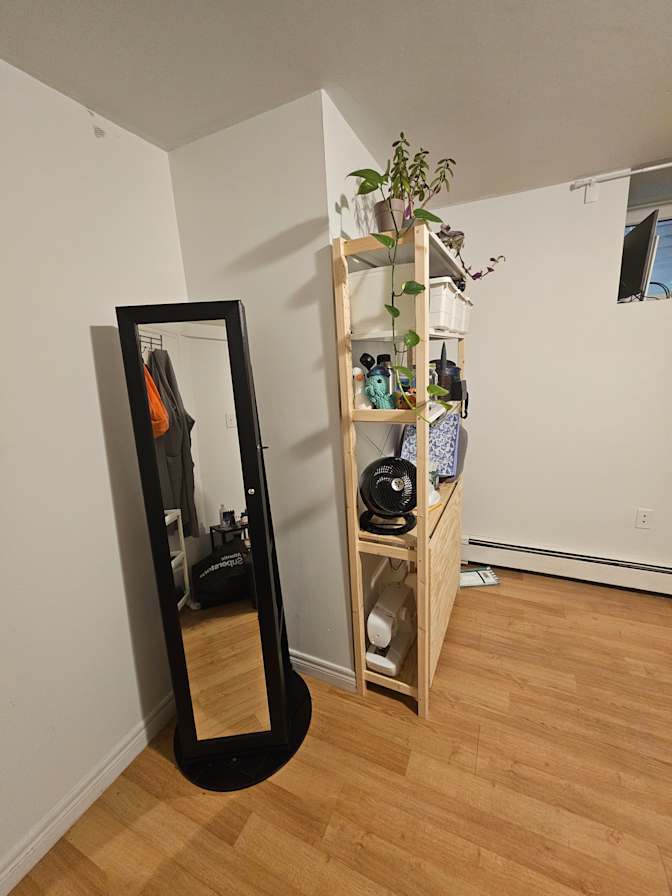 Dove's room