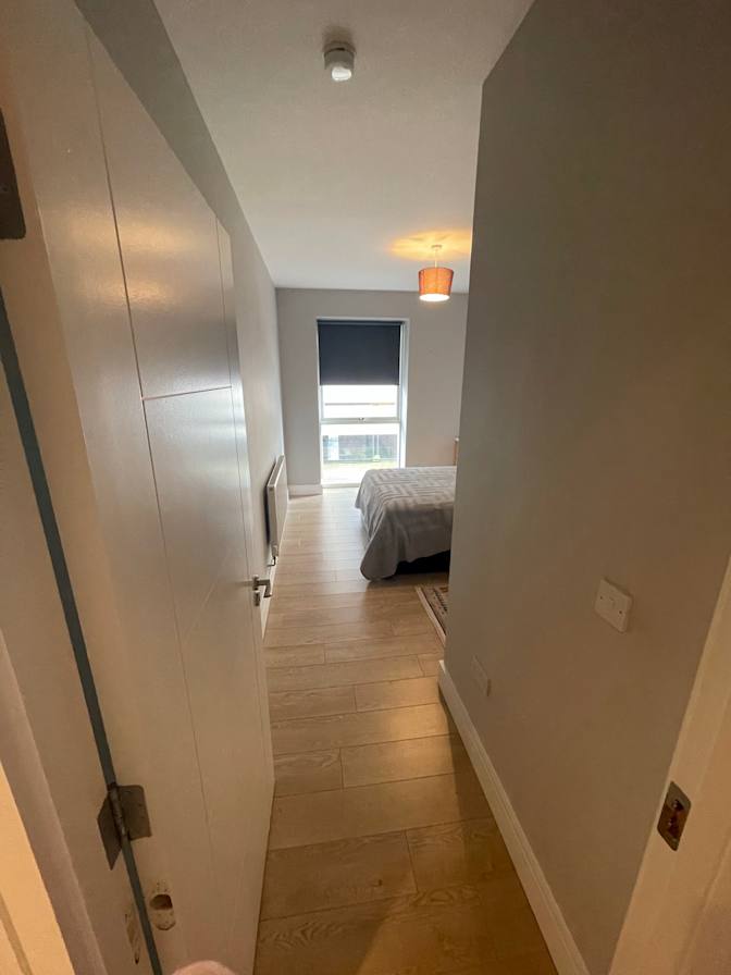 Moty's room