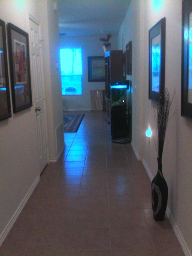 Larry's room