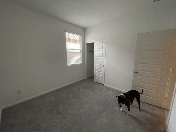 Joseph Shapiro's room