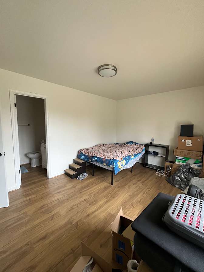 Paula's room