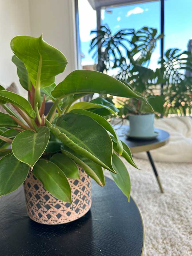Linda A.'s room