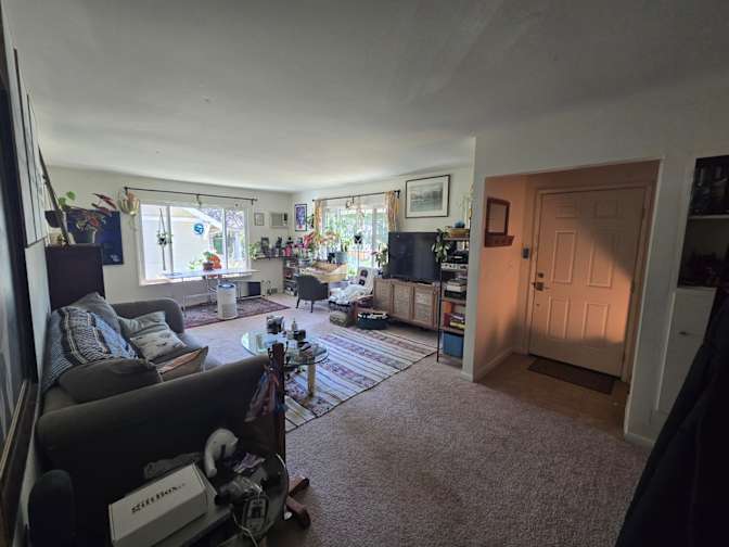 Ty's room