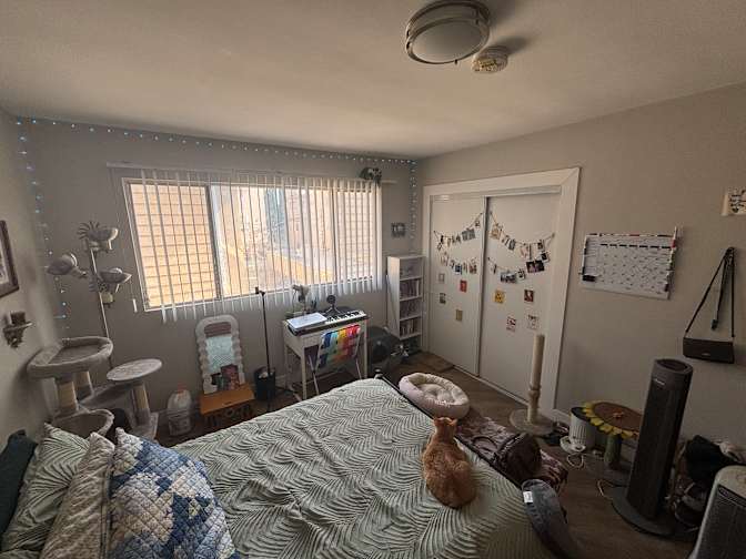 Dani's room